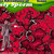 Sex picture of the The Adventures of Justy Sperm at the Sex Games Box